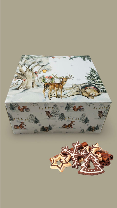 Krásná dárková krabice _ krabice na cukroví Quad 18 x 18 x 9 cm CBOX-140_2.JPG