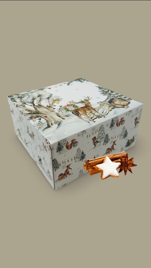 Krásná dárková krabice _ krabice na cukroví Quad 18 x 18 x 9 cm CBOX-140_3.JPG